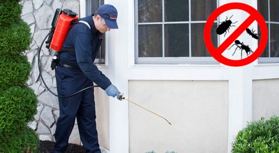 Defne Hamam Böceği İlaçlama böcek ilaçlama ve haşere kontrolü — ilaclama-tr.com